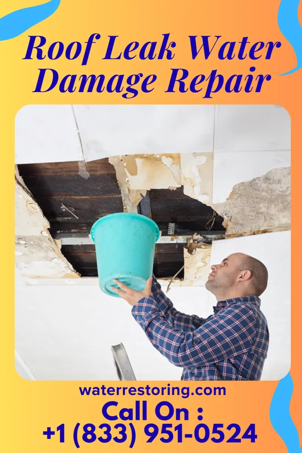 Roof Leak Water Damage Repair in Piedmont, SD